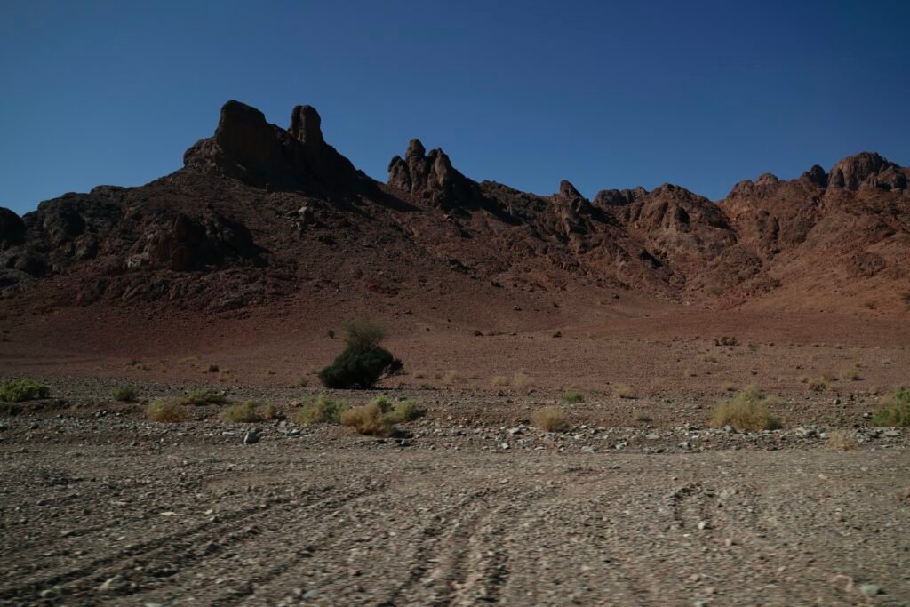 saoedi arabië 2025 11 07 (40)